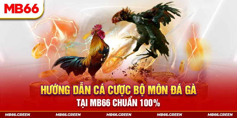 13 win xổ số bình định