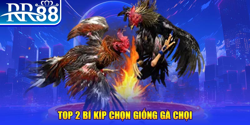 13 win đăng nhập poker số 1