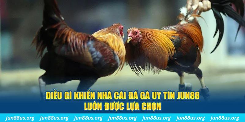 13 win qq88 nổ hũ bắn cá