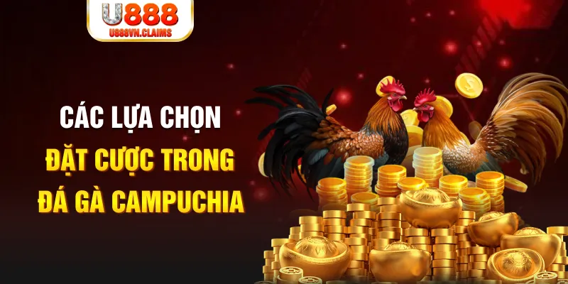 13 win SW Xổ Số