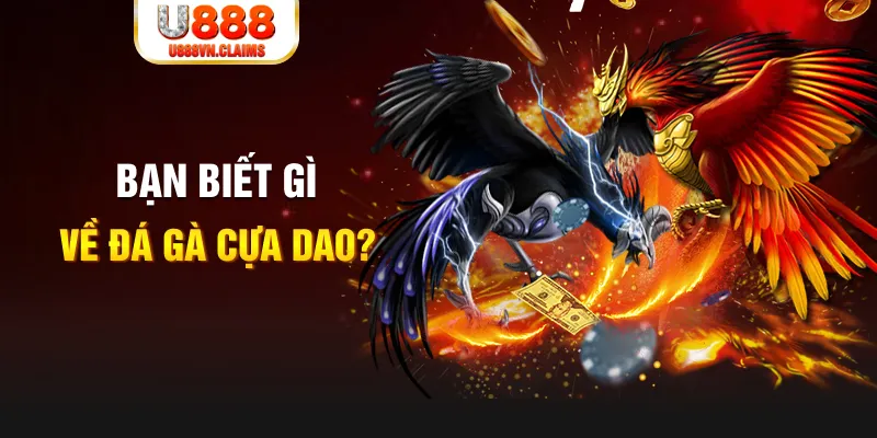 13 win xổ số kiến thiết