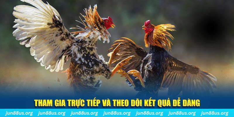13 win đá gà trực tiếp bình luận viên