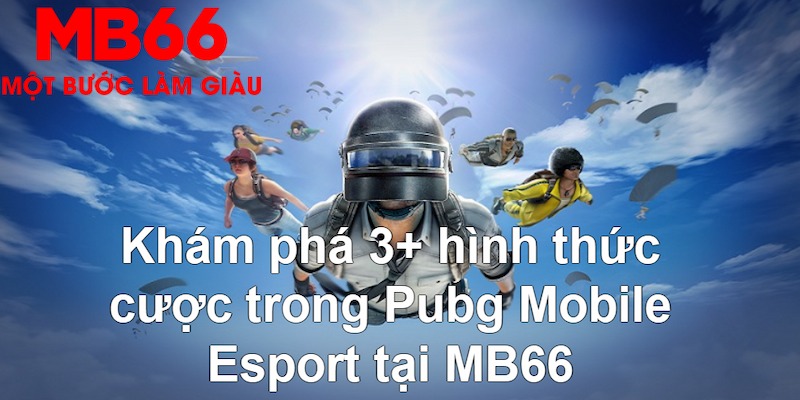 13 win so xo