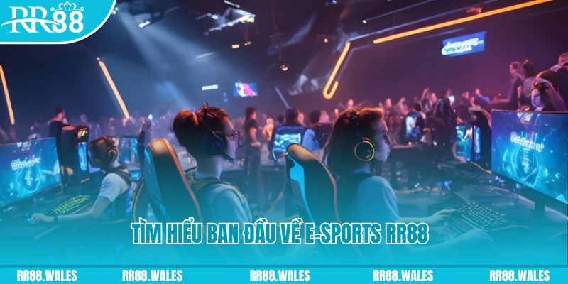 13 win Đĩa màu ace