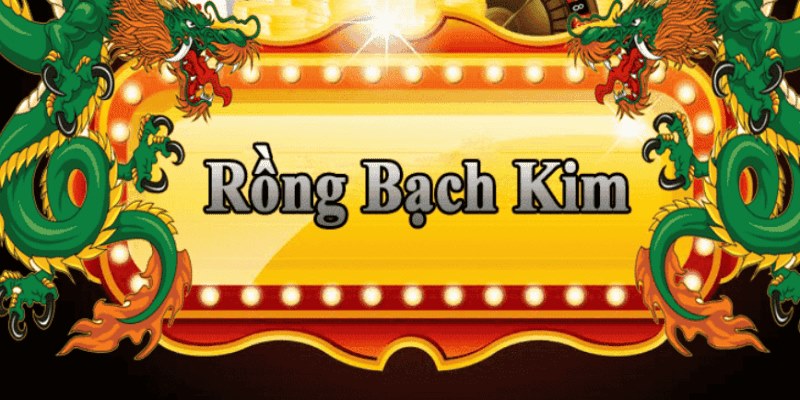 13 win đăng nhập roulette 2025