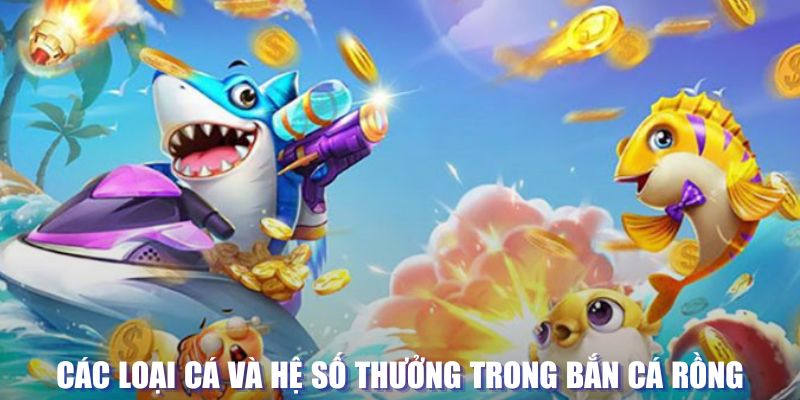 13 win loi game dot kich ket noi may chu that bai