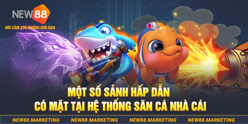 13 win đăng nhập sòng bạc 2025