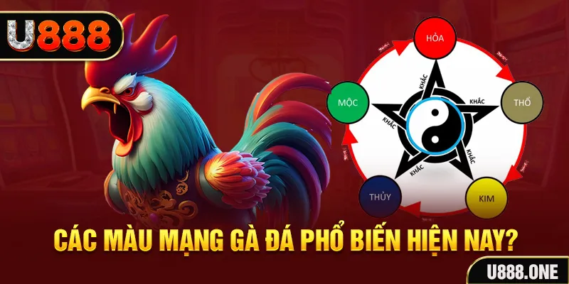 13 win đăng nhập mậu binh