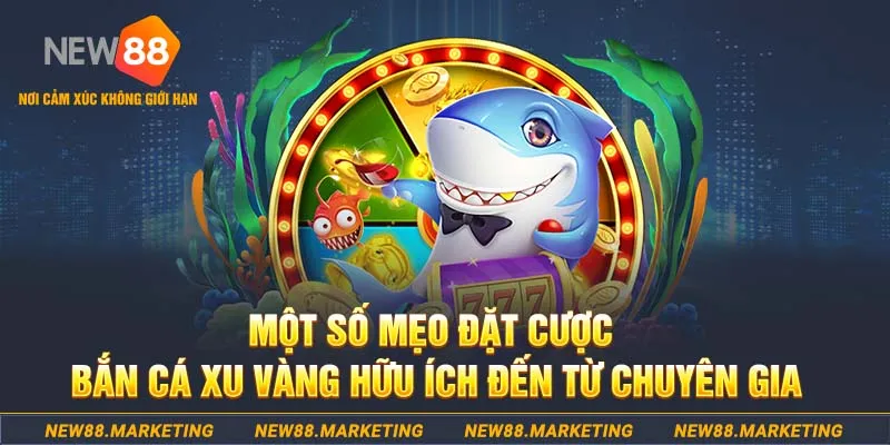 13 win Tài Xỉu