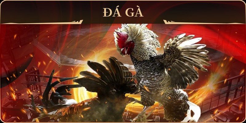 13 win no hu doi thuong ai