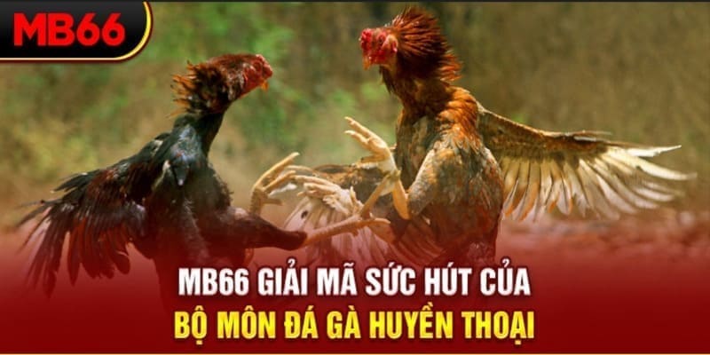 13 win Phi Đội Ưu Tú