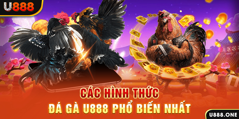 13 win DB Trực Tuyến
