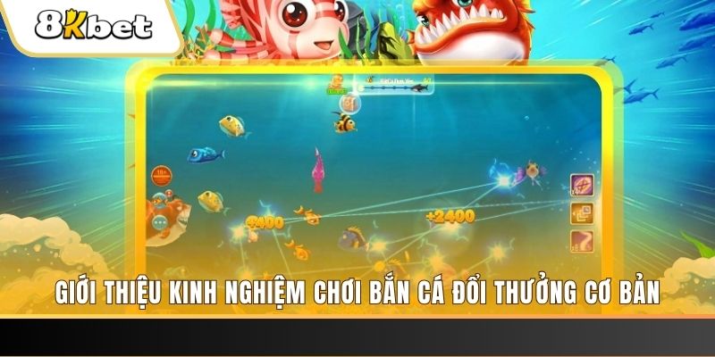 13 win xổ số miền bắc thứ năm hàng tuần