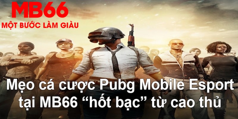 13 win gà chọi mộc hóa