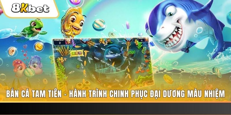 13 win long bảo trong baccarat là gì