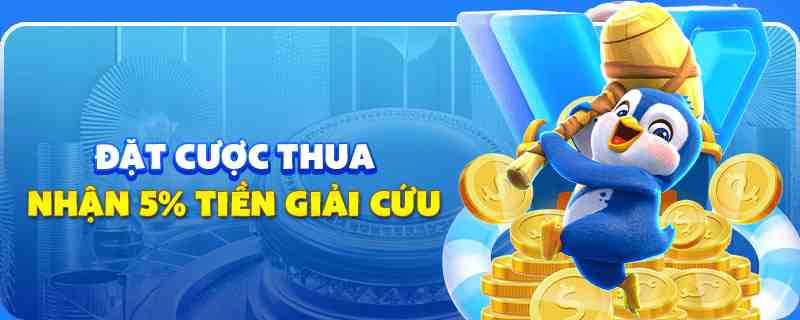 13 win gà chọi cu cần