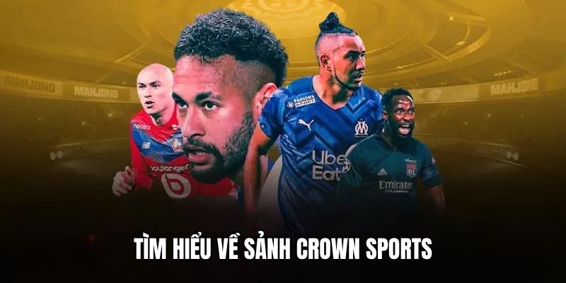 13 win đá gà trực tiếp