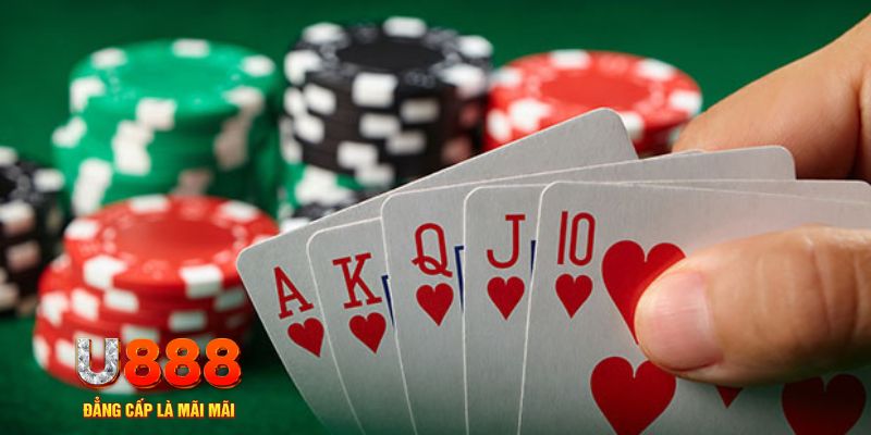 13 win trực tiếp đá gà